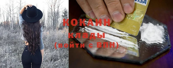 соль ск Арсеньев