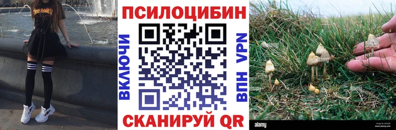 купить закладку  Остров  Псилоцибиновые грибы Psilocybine cubensis 